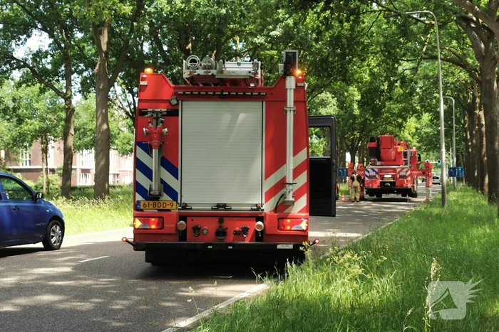 Flinke tak zorgt voor gevaarlijke situatie