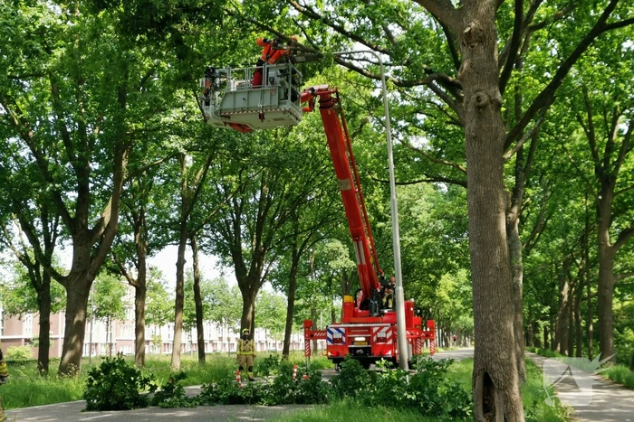 Flinke tak zorgt voor gevaarlijke situatie