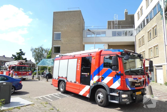 nieuws wortmanstraat kampen