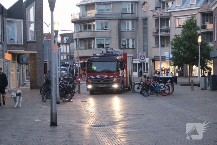 Vastzittende duif bevrijdt
