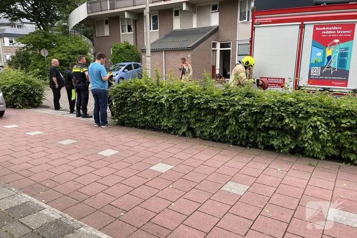brand anthonis van der nootstraat spijkenisse