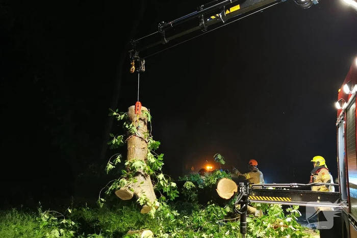 Brandweer verwijdert omgevallen boom