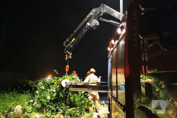 Brandweer verwijdert omgevallen boom