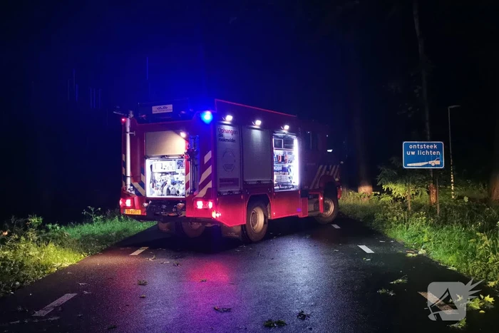 Brandweer verwijdert omgevallen boom