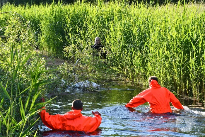 Zwaan raakt verstrikt in visdraad met dobber