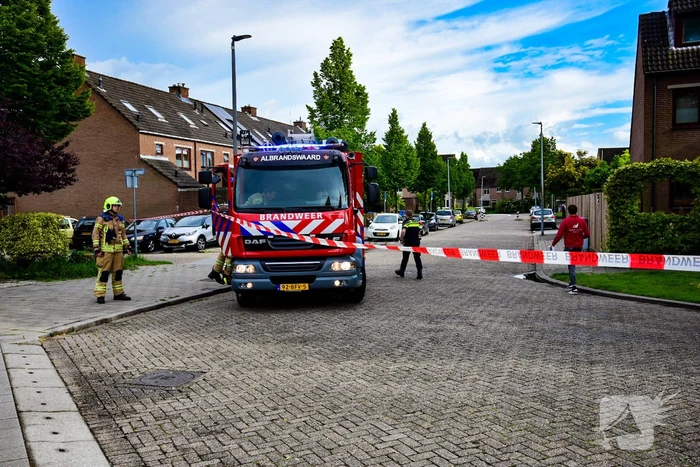 nieuws zwaluw hoogvliet rotterdam