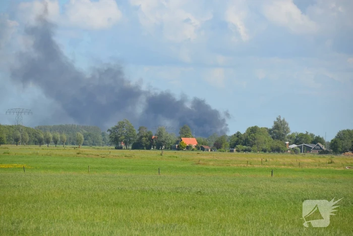 brand venus heerenveen