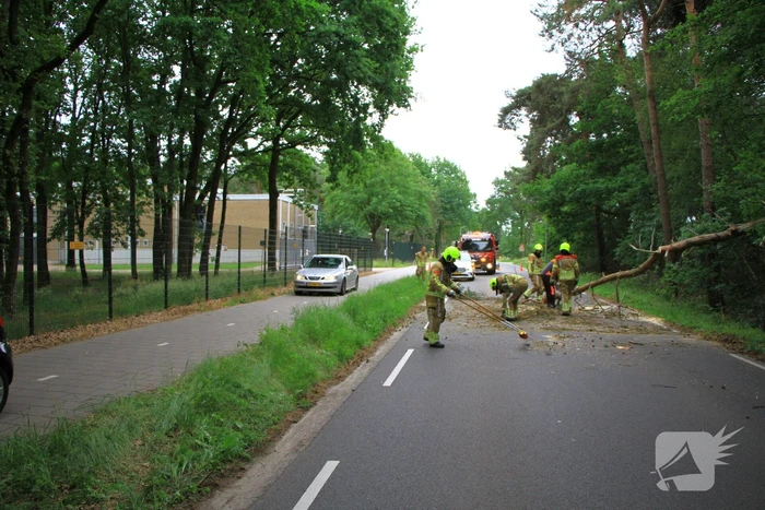 natuur trancheeweg weert