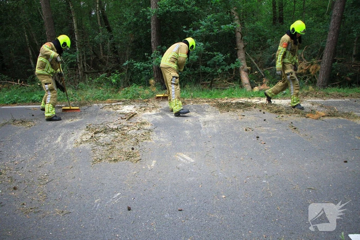Omgevallen boom blokkeert rijbaan