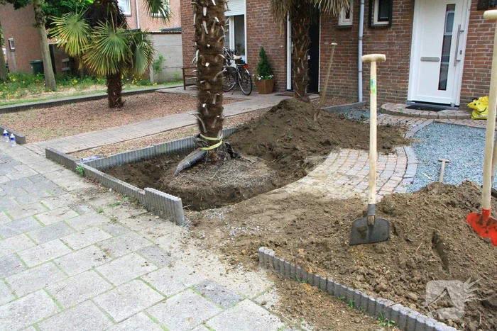 gaslekkage louise de colignystraat weert