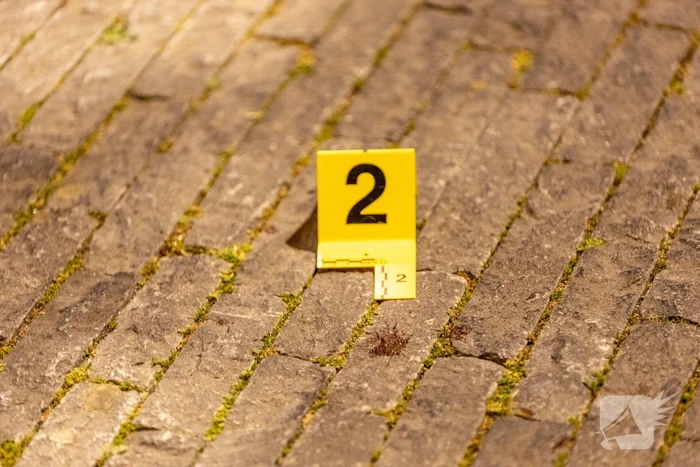 Zwaar gewonde bij steekpartij