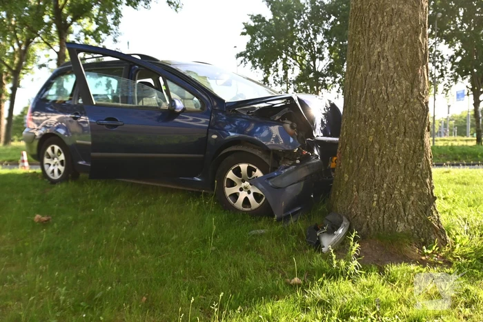 Bestuurder parkeert auto tegen boom en verdwijnt