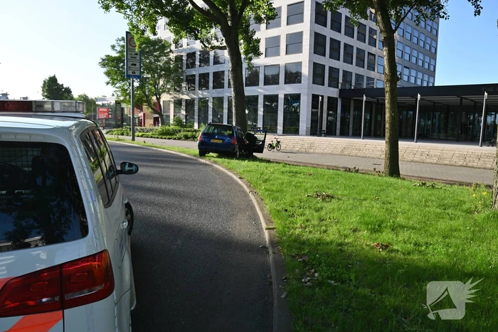 Bestuurder parkeert auto tegen boom en verdwijnt