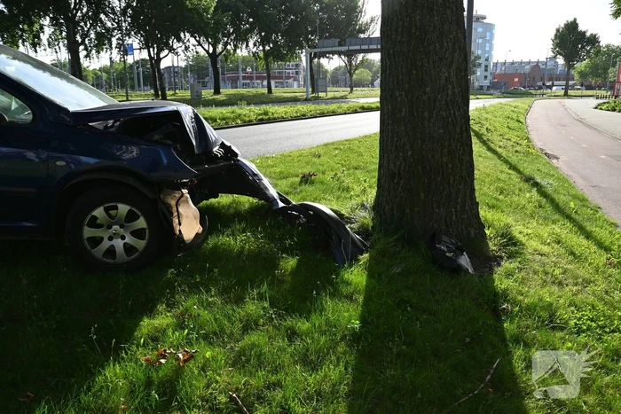 Bestuurder parkeert auto tegen boom en verdwijnt