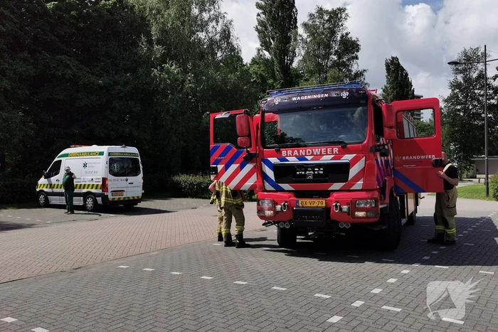 nieuws akkermaalsbos wageningen