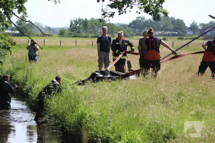 Een te water geraakte koe uit het water gehaald