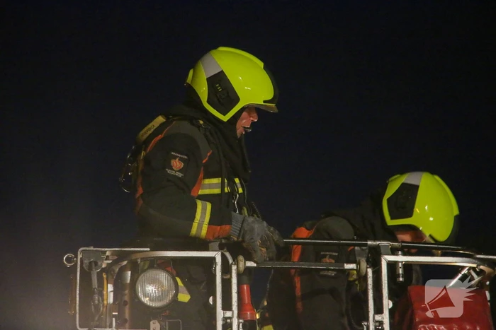 Pauw zoekt het hoger op en zit vast op het dak