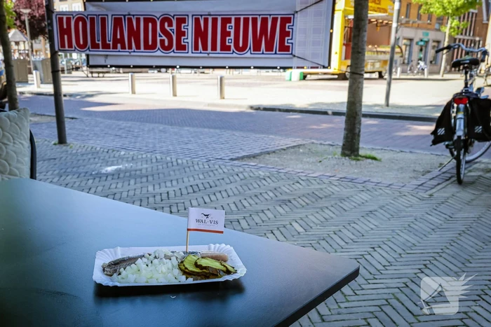 Superverse Hollandse Nieuwe heel romig