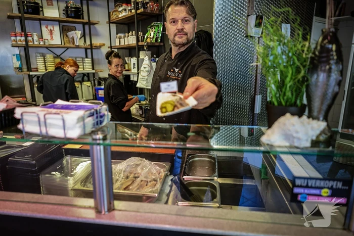 Superverse Hollandse Nieuwe heel romig