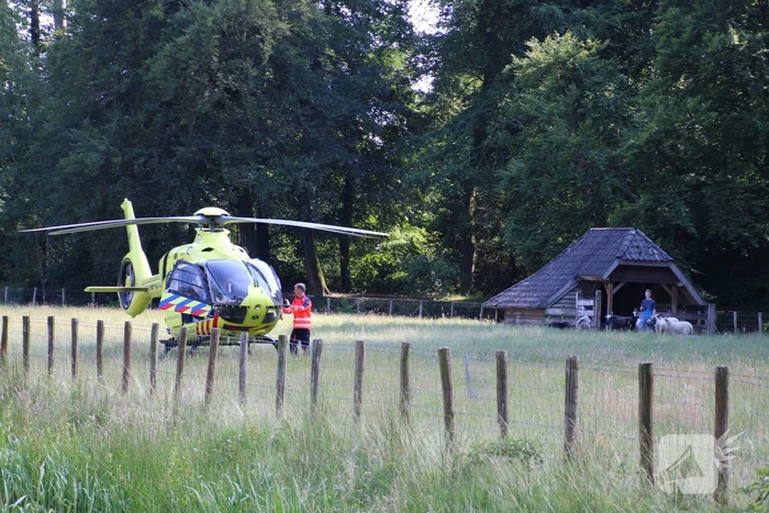Persoon onder verdachte omstandigheden aangetroffen in bos