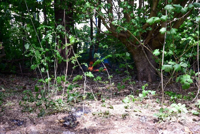 Buitenbrand in de kiem gesmoord
