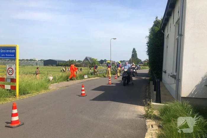 nieuws pruimendijk ridderkerk