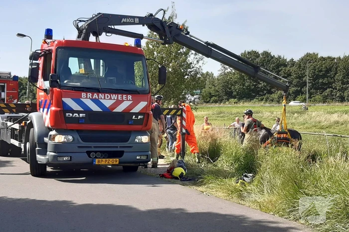 Reddingsactie voor paard te water