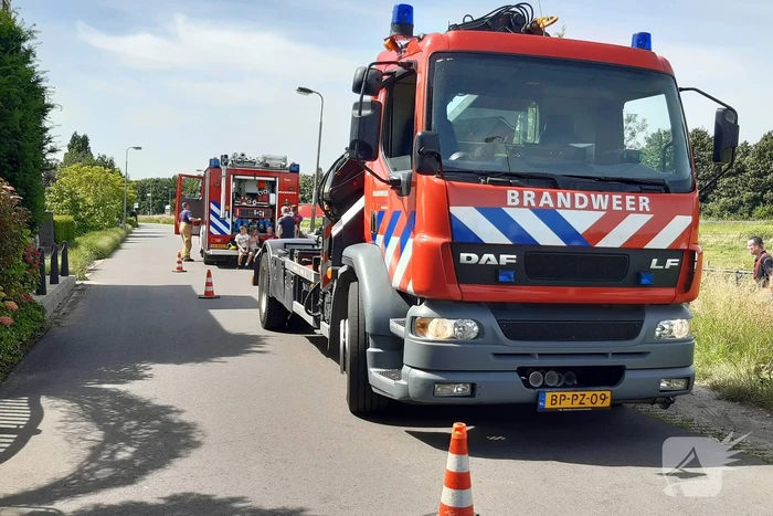 Reddingsactie voor paard te water