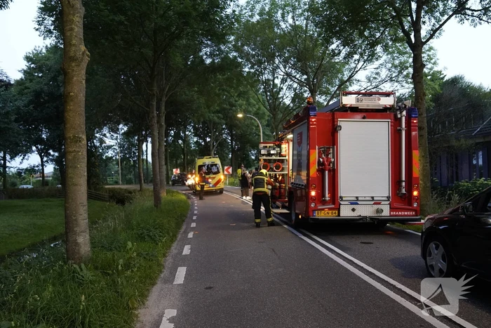 Auto tegen boom