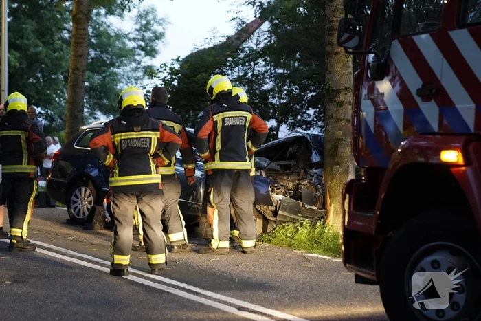 Auto tegen boom