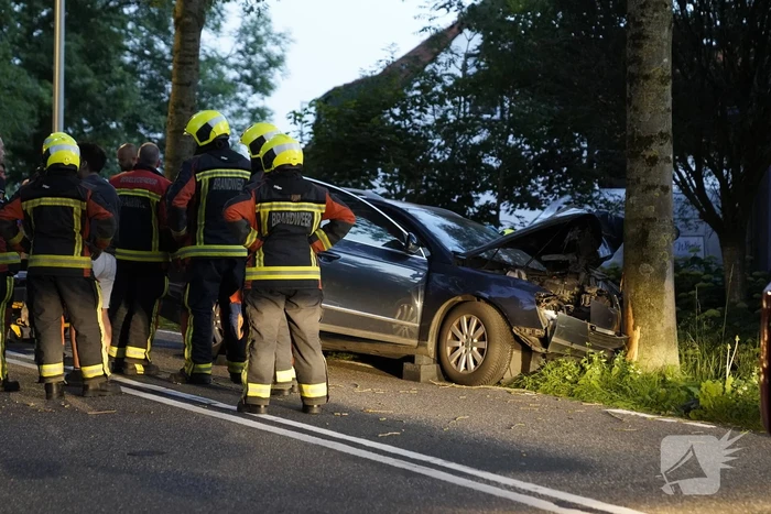 Auto tegen boom