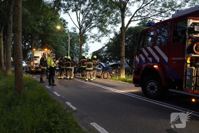 Auto tegen boom