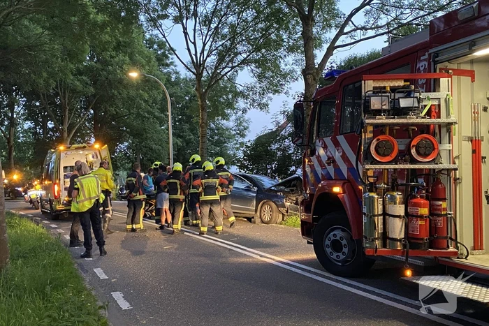 Auto tegen boom