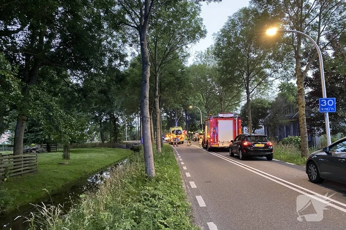 Auto tegen boom