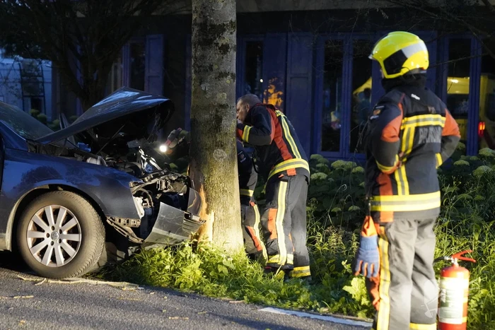 Auto tegen boom