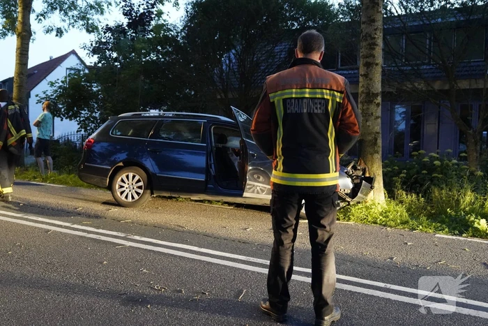 Auto tegen boom