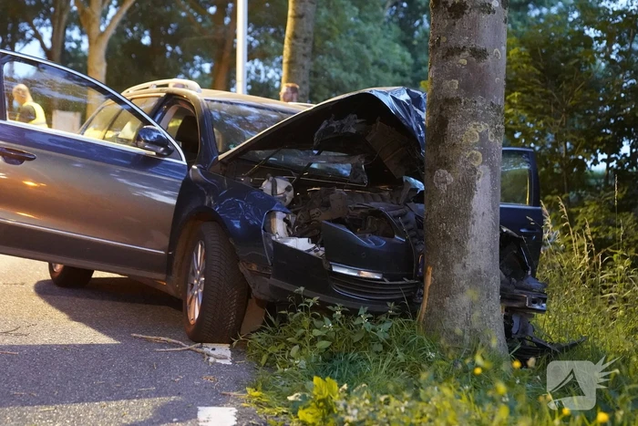 Auto tegen boom