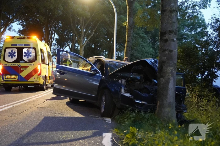Auto tegen boom