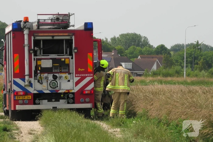 Boer spot brand in weiland