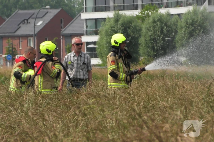 Boer spot brand in weiland