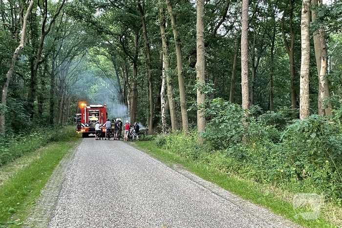 Brand in bosschage