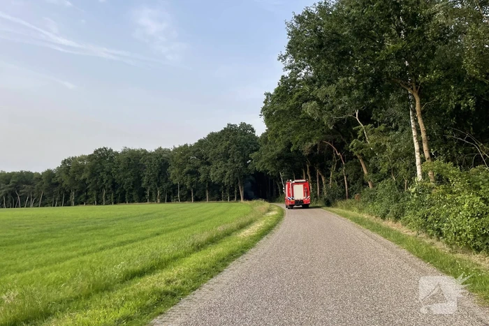 Brand in bosschage
