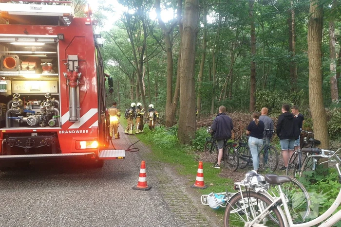 Brand in bosschage