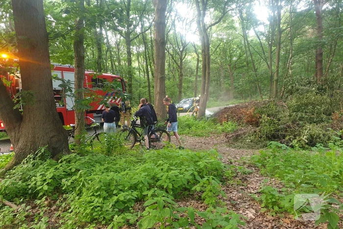 Brand in bosschage