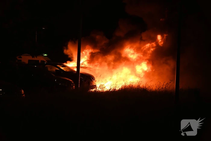 Auto's uitgebrand op parkeerplaats volkstuinvereniging