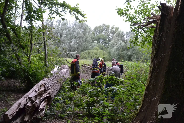 Stapel kranten in brand gestoken in het Gouwebos