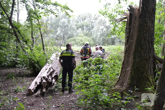 Stapel kranten in brand gestoken in het Gouwebos