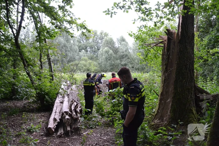Stapel kranten in brand gestoken in het Gouwebos