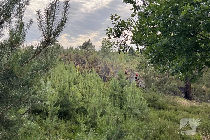 Brandweer blust brand op Brunssummerheide