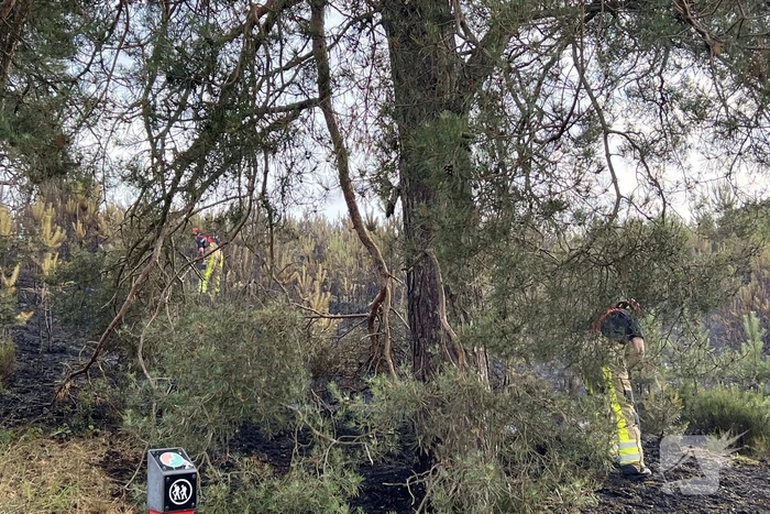 Brandweer blust brand op Brunssummerheide